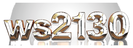 ws2130 logo